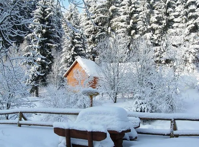 Bleyl Rittersgruen *