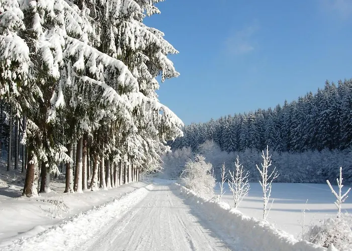 Apartman Bleyl Rittersgruen Breitenbrunn