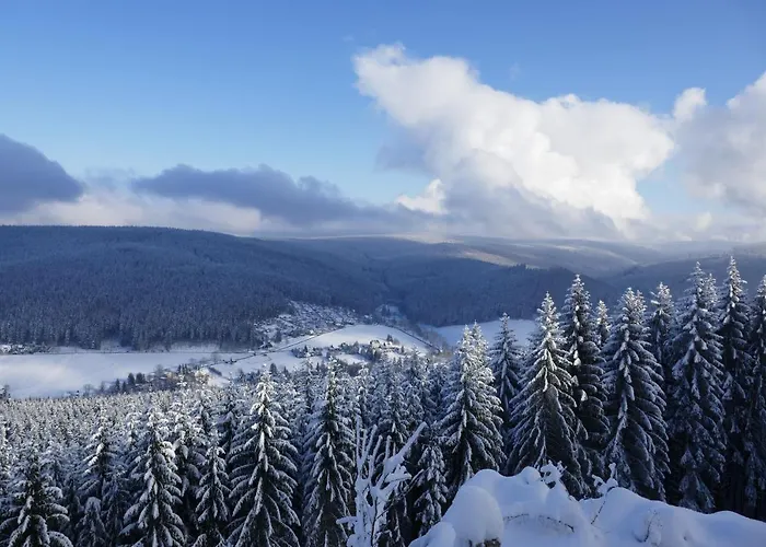 Bleyl Rittersgruen *